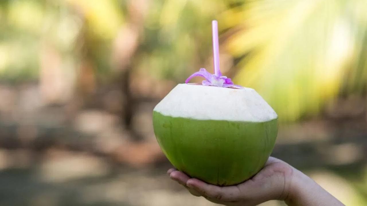 Coconut Water Benefits