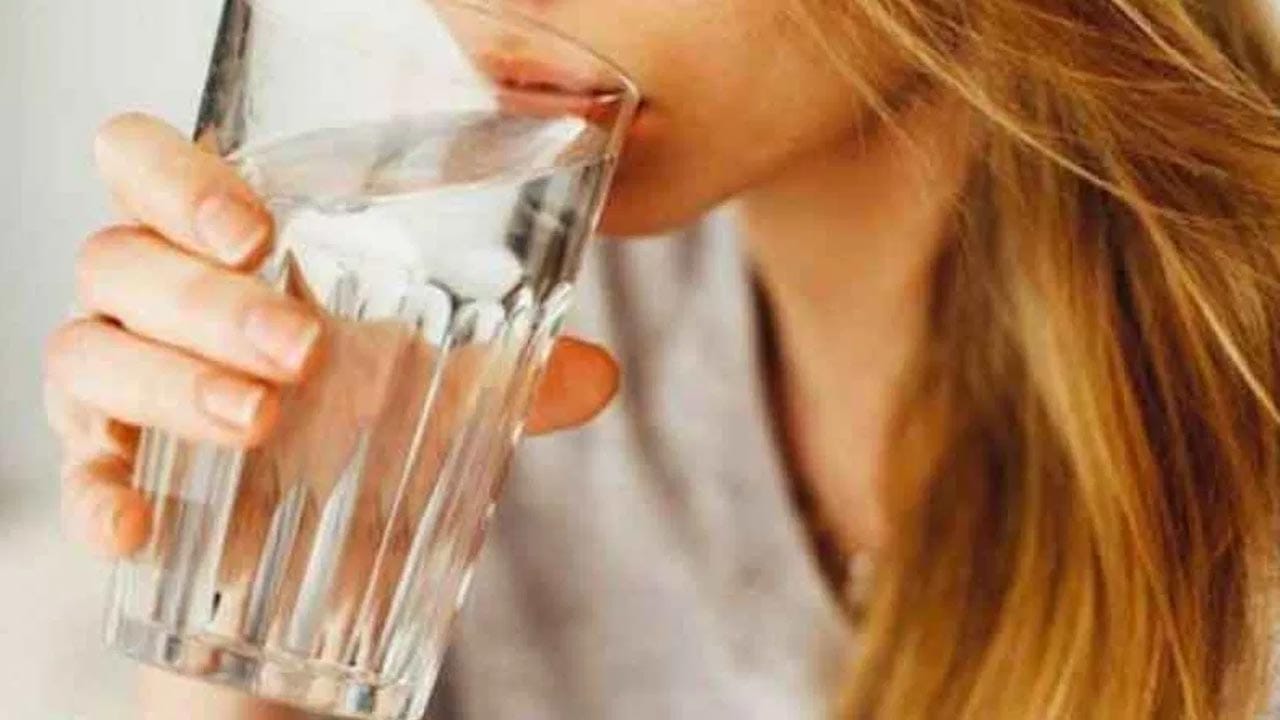 Metabolism Boost